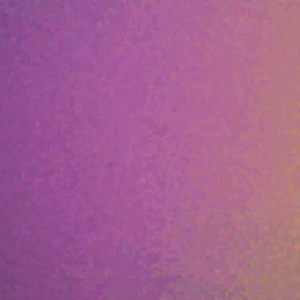 Profile photo of tkuo